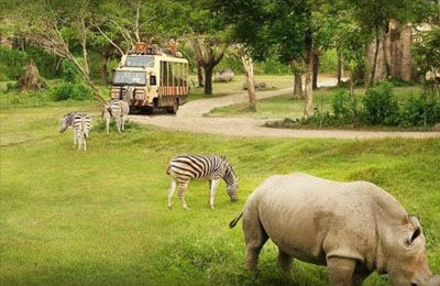 Suasana Taman Safari Marine Park di Gianyar, Bali