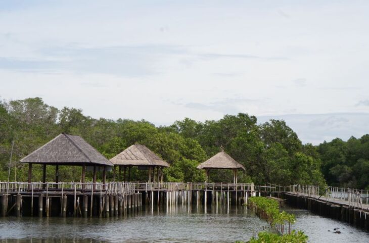 ekowisata mangrove 1