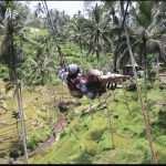 Bali Swing tegalalang