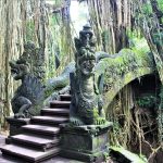 Monkey Forest Ubud 2