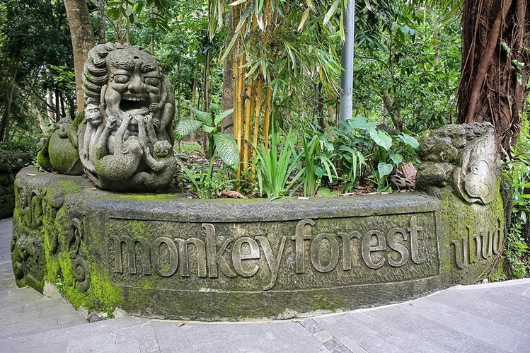 Kera liar di Hutan Monyet Ubud, salah satu daya tarik wisata Ubud