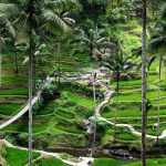 Tegalalang Ubud