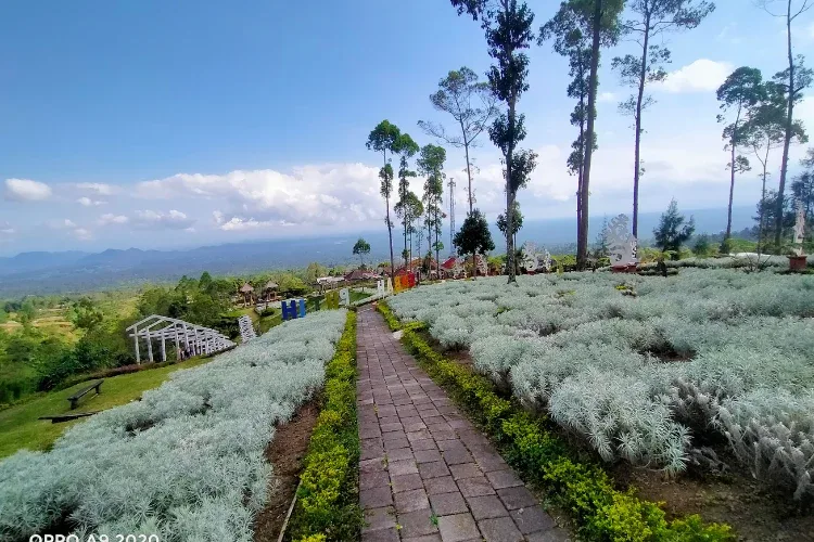 objek wisata karangasem