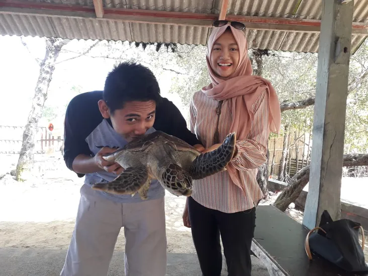 Konservasi Penyu Bali